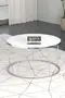Coffee Table and Zigon Coffee Table Terra Set Silver