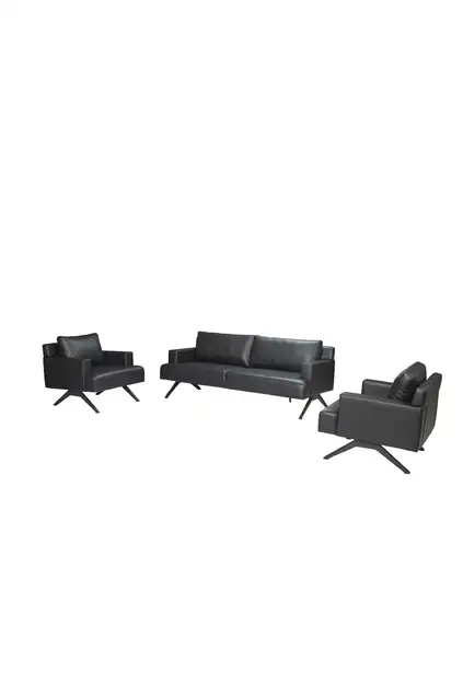 Schwan Büro-Sofa-Set FSM1035