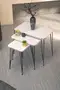 Nesting Table Kr And Center Table Kr Set Black Leg White Wire