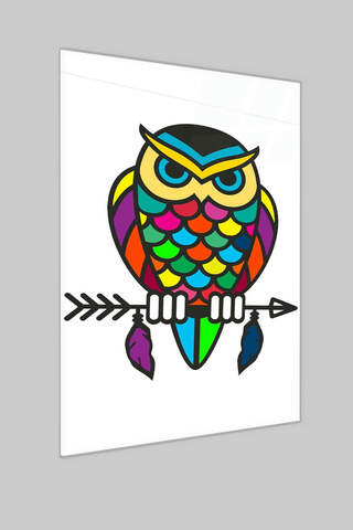 Colorful Owl Glass Painting
