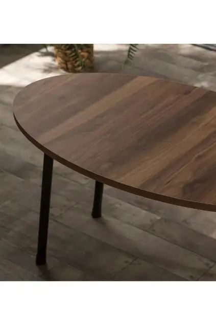 Center Table Metal Leg Ellipse Walnut