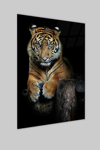 Wilder Tiger Glasmalerei