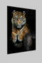 Pittura su vetro di tigre selvaggia