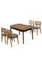 Asia Walnut Table And Chair Set FRL1019