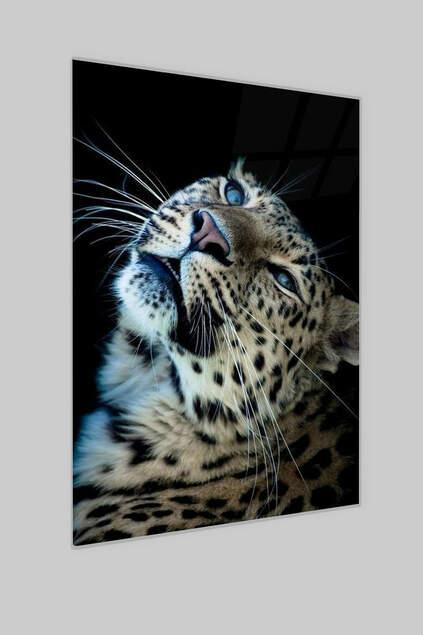 Pittura su vetro leopardata
