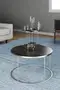 Coffee Table and Zigon Coffee Table Terra Set Silver