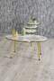 Nesting Table And Center Table Ellipse Set Double Gold Efes Wire
