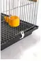 Farmhouse And Production Cage With Partition 60x40x28