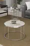 Coffee Table and Zigon Coffee Table Terra Set Silver