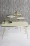 Nesting Table And Center Table Kr Set Gold Bendir Wire