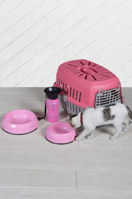 Hunde- und Katzentragetasche, Futterbehälter und rosa Tränke