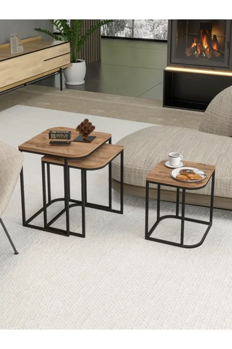 Damla 3-Piece Rectangular Nesting Table Set - Brown