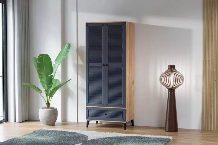 Carina Naz 2-Door Wardrobe - Atlantic Pine / Anthracite TN0276