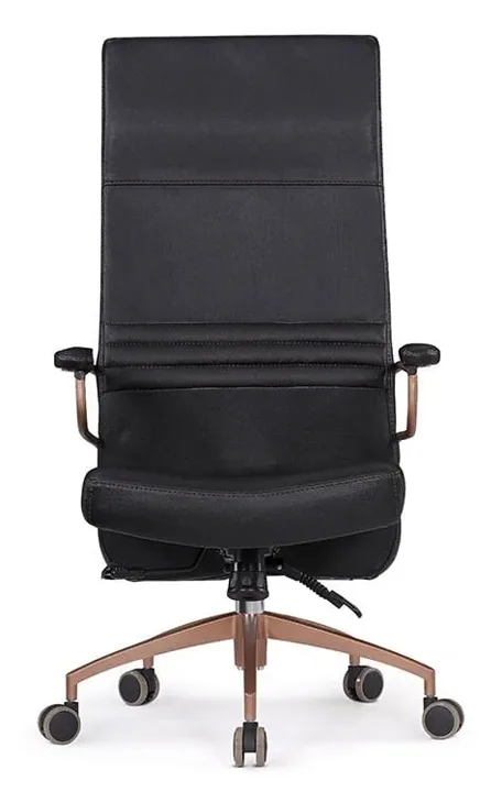Robin Executive Chair FSM1333
