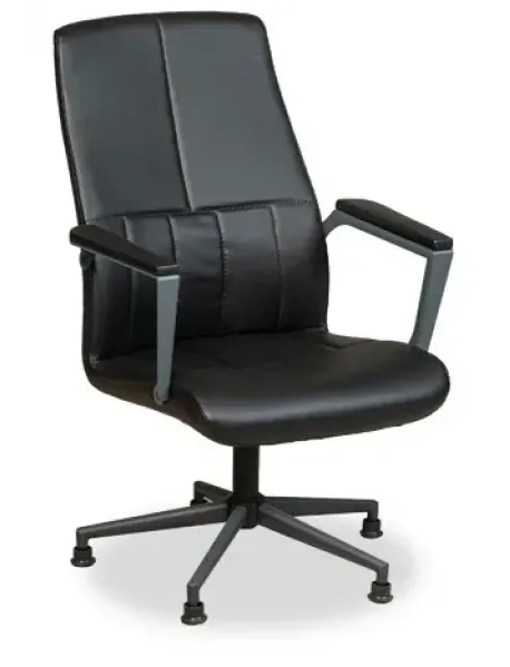 Slim Executive Chair FSM1235