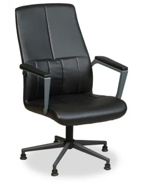 Slim Executive Chair FSM1235