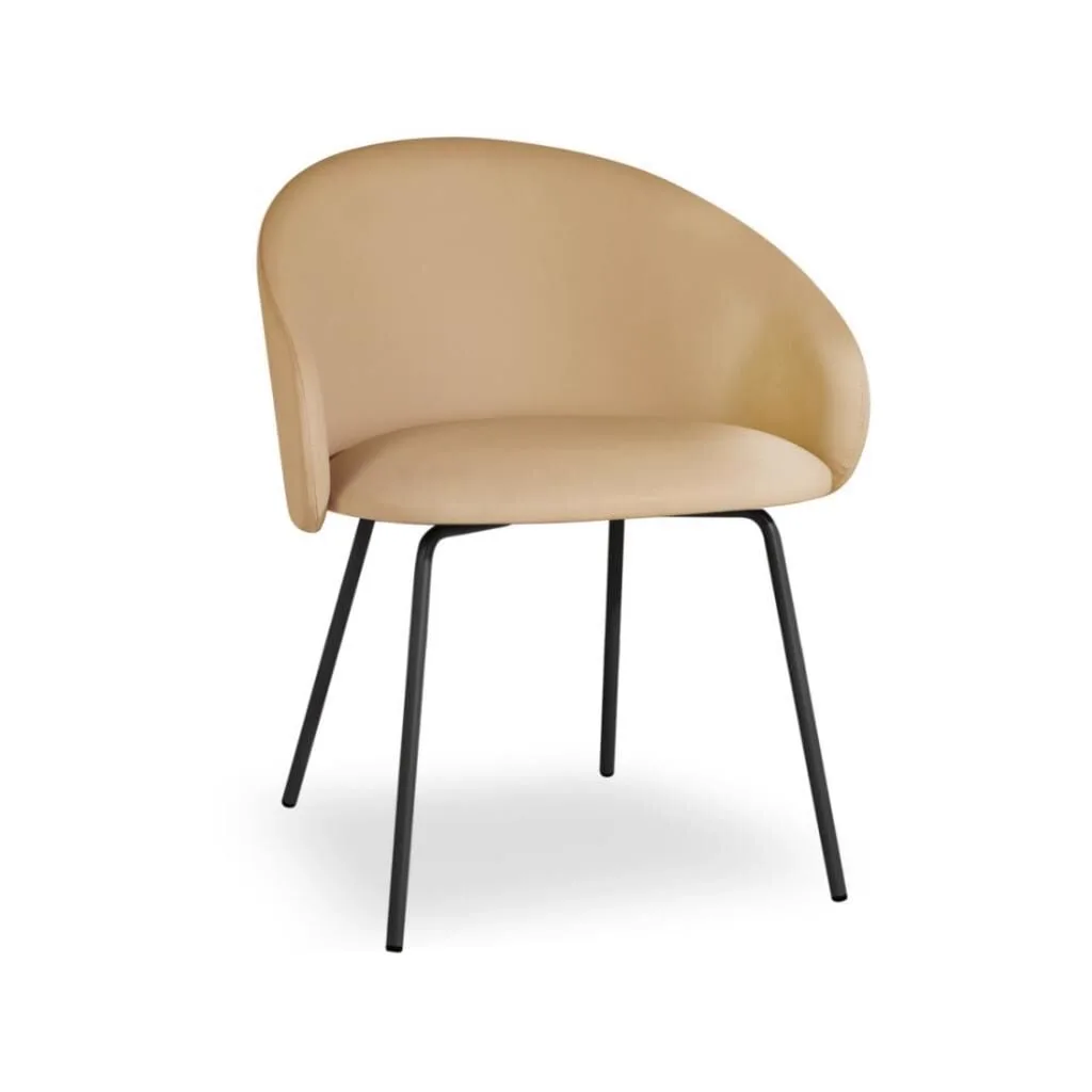 Glera-K ML Soft CSE - Black Chair with Arms PPT1128