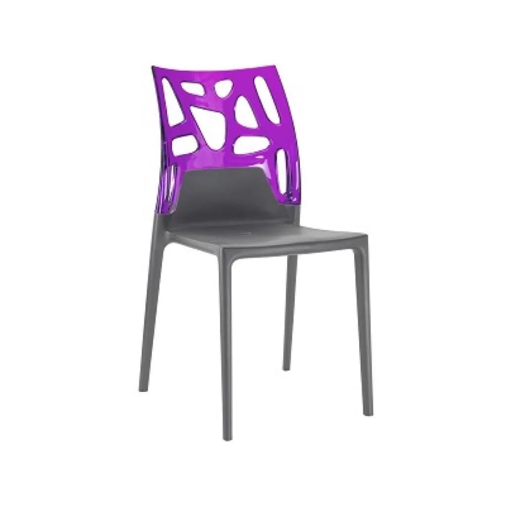 Ego-Rock Purple Transparent - Anthracite Kitchen Chair PPT1049