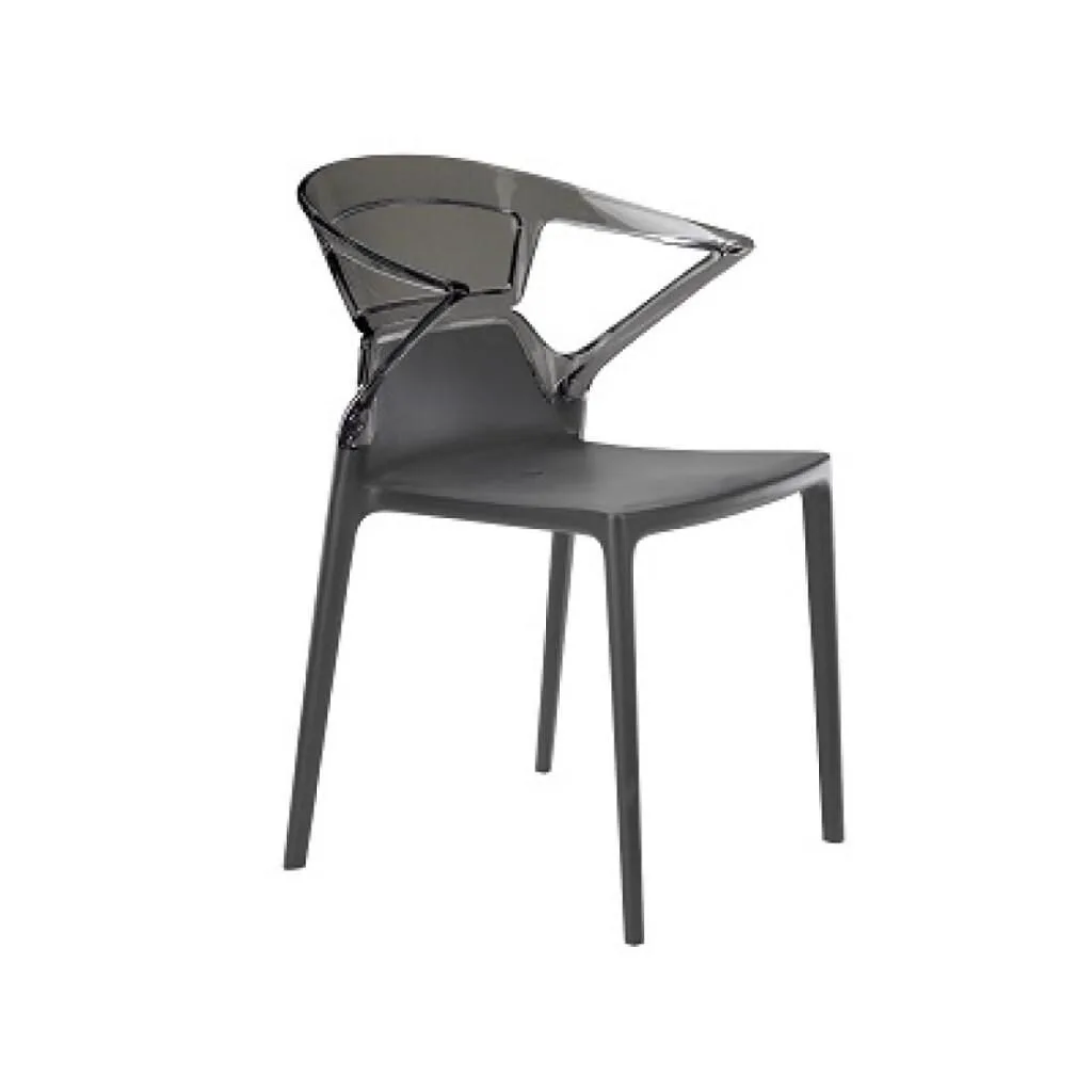 Ego-K Smoke Transparent - Anthracite Kitchen Chair with Arms PPT1037