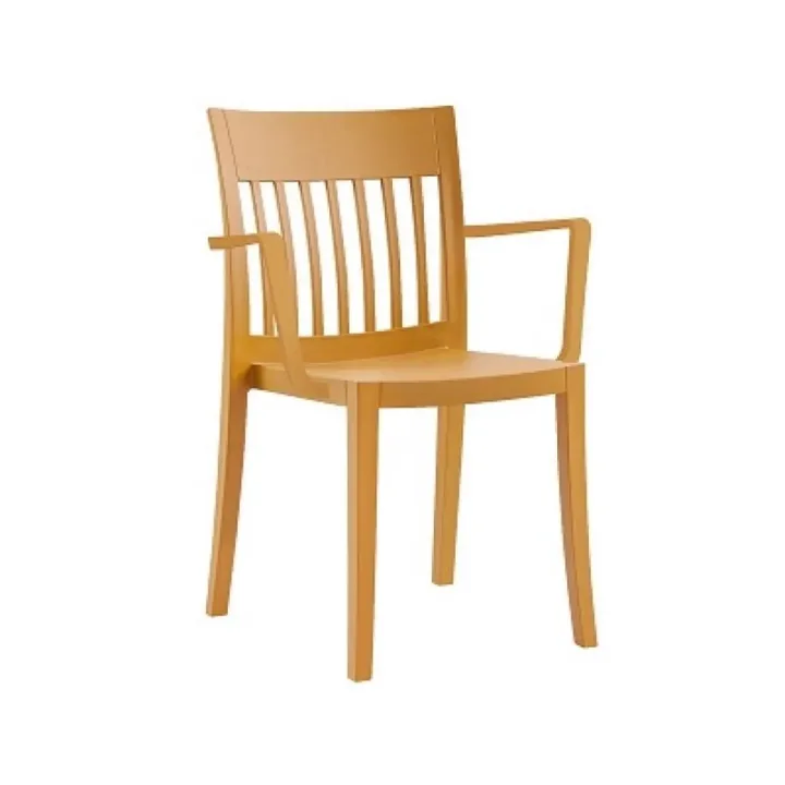 Eden-K Dark Yellow Kitchen Chair with Arms PPT1029