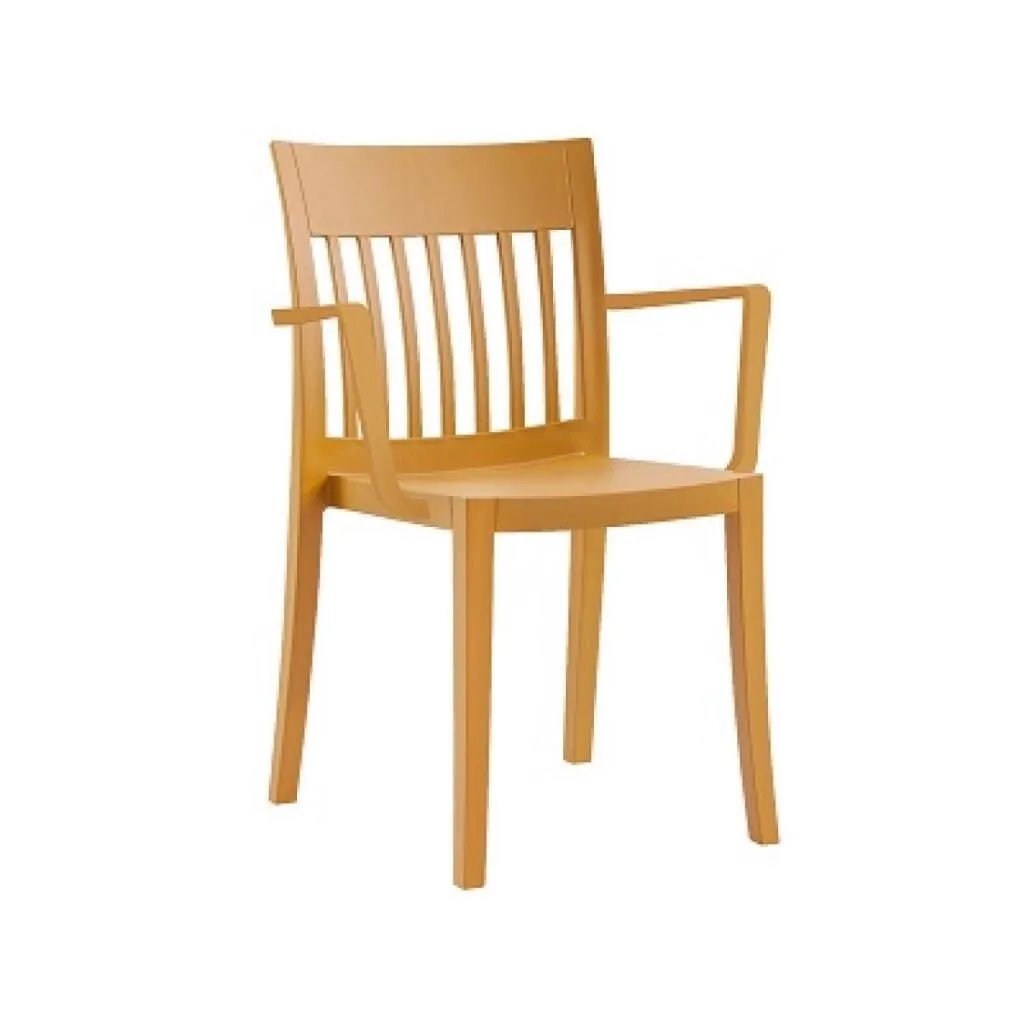 Eden-K Dark Yellow Kitchen Chair with Arms PPT1029
