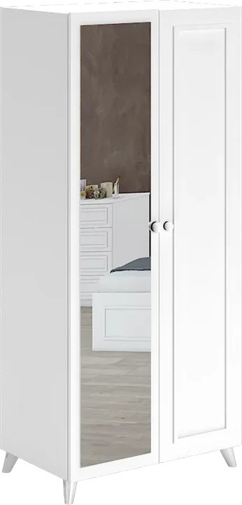 Hanzade 2-Door Mirrored Cabinet WD21029