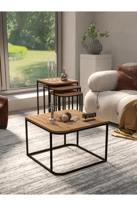 Damla Coffee Table and Nesting Table Set Melamine-faced chipboard Brown