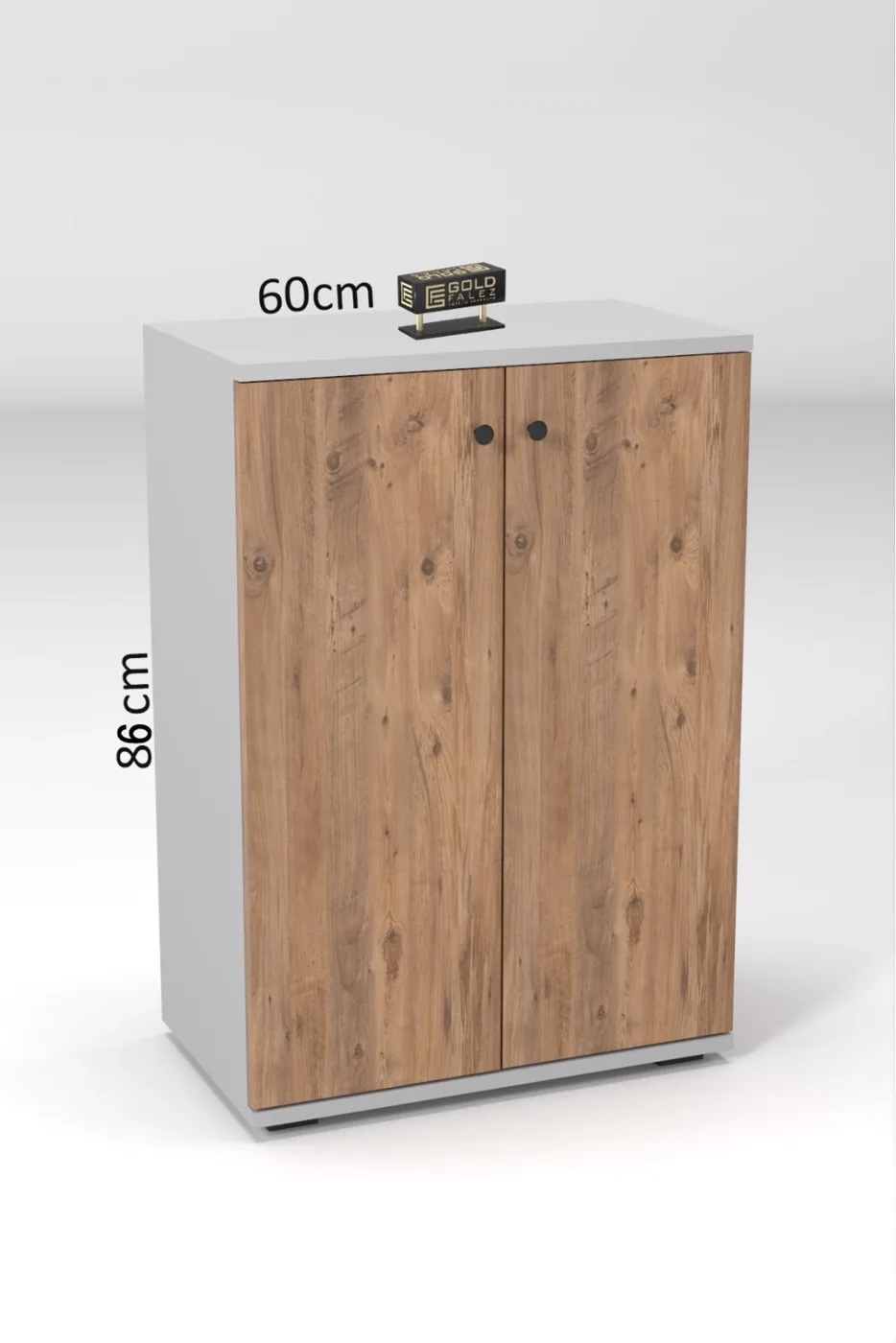 2-Door 5-Compartment Multi-Purpose Shoe Cabinet Pine White